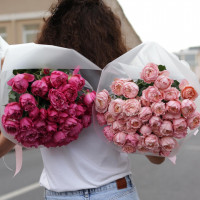 Букет малиновых пионовидных роз МАРСАЛА