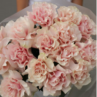 Букет с французскими розами ПУДРА АНГЕЛОВ, 15 шт.