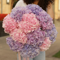Букет ВОЗДУШНОЕ ОБЛАКО, 11 гортензий