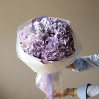 Букет ЧЕРНИЧНЫЙ ПЛОМБИР, гортензия 5 шт