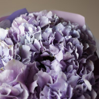 Букет ЧЕРНИЧНЫЙ ПЛОМБИР, гортензия 5 шт