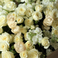 Букет кустовых кремовых роз КРЕМАН