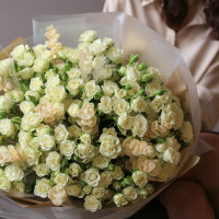 Монобукет с молочными кустовыми розами, 29 шт