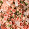 Монобукет с персиковыми кустовыми розами, 29 шт