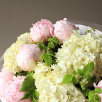 Букет с пионами и гортензией МАЛИНОВЫЙ ПЛОМБИР