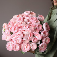 Монобукет РАНУНКУЛЮСЫ, 49 шт