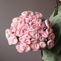 Монобукет РАНУНКУЛЮСЫ, 49 шт