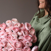 Монобукет РАНУНКУЛЮСЫ, 49 шт