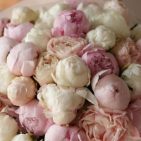 Букет * ПИОНОВ ПЛОМБИР * 35 шт.