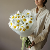 Букет РОМАШКИ, 25 шт