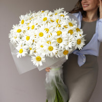 Букет РОМАШКИ, 101 шт