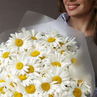 Букет РОМАШКИ, 101 шт