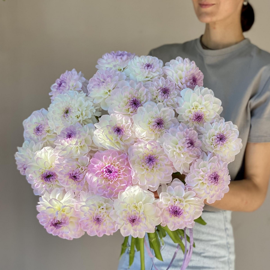 Монобукет ГЕОРГИНЫ ЛАВАНДА-ШАМПАНЬ, 25 шт