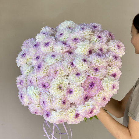 Монобукет ГЕОРГИНЫ ЛАВАНДА-ШАМПАНЬ, 49 шт.