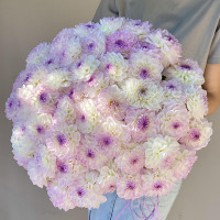 Монобукет ГЕОРГИНЫ ЛАВАНДА-ШАМПАНЬ, 49 шт.