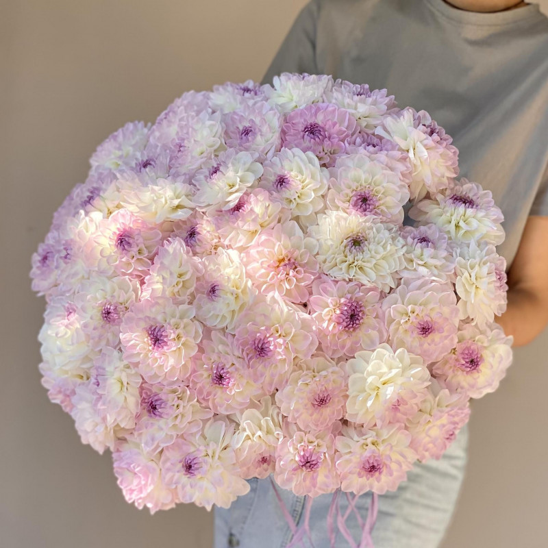 Монобукет ГЕОРГИНЫ ЛАВАНДА-ШАМПАНЬ, 49 шт.