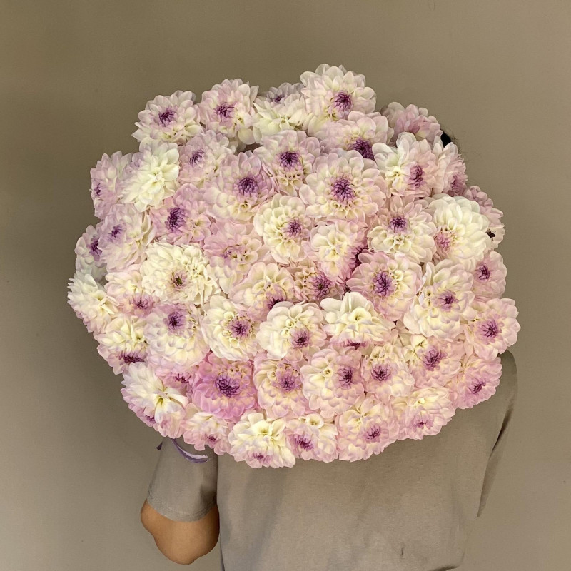 Монобукет ГЕОРГИНЫ ЛАВАНДА-ШАМПАНЬ, 49 шт.