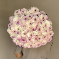 Монобукет ГЕОРГИНЫ ЛАВАНДА-ШАМПАНЬ, 49 шт.