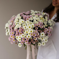 Букет ОБЛАКО ХРИЗАНТЕМ, 31 шт