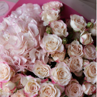 Букет дня РОЗЫ+ГОРТЕНЗИЯ (в асс.)