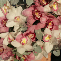 Композиция АМИНА