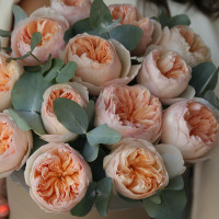 Коробка пионовидных роз ДЖУЛЬЕТТА, 15 шт *