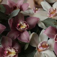 Нежные ОРХИДЕИ в ящичке *