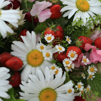 Композиция СОЧНОЕ ЛЕТО