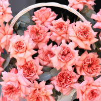 Корзина роз ЛЮБИТЬ ПО-ФРАНЦУЗСКИ