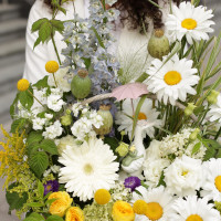 Корзина УДИВИТЕЛЬНОЕ ПУТЕШЕСТВИЕ