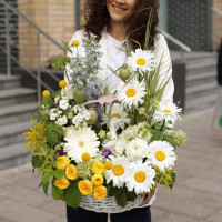 Корзина УДИВИТЕЛЬНОЕ ПУТЕШЕСТВИЕ