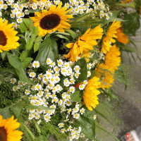 Корзина ВЕЛИКОЛЕПИЕ СОЛНЦА