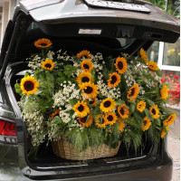 Корзина ВЕЛИКОЛЕПИЕ СОЛНЦА