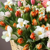 Букет WOW в корзине ВЕЛИКОЛЕПИЕ ВЕСНЫ