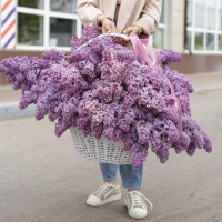 Большой букет *СИРЕНИ в корзине*