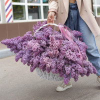 Большой букет *СИРЕНИ в корзине*