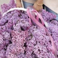 Большой букет *СИРЕНИ в корзине*