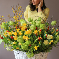 WOW-корзина ВЕСНА