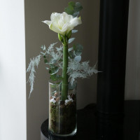 Композиция в цилиндре с белым амариллисом