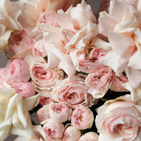 Коробка французских роз Крем, 70 см *