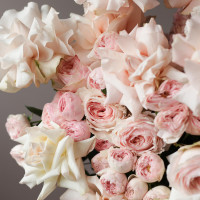 Коробка французских роз Крем, 70 см *