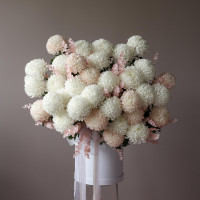 Огромная * коробка зефирных хризантем* 55 шт.