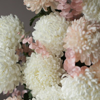 Огромная * коробка зефирных хризантем* 55 шт.