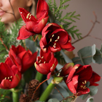 Зимний букет с амариллисами