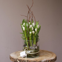 *ТЮЛЬПАНЫ 2 в 1 в вазе стекло *