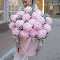 Коробка розовых хризантем, 19 шт.