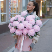 Коробка розовых хризантем, 19 шт.