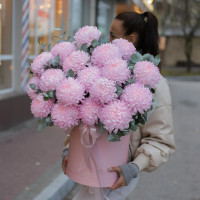 Коробка розовых хризантем, 19 шт.