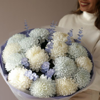 Букет хризантем белые и голубые БАБЛ ГАМ