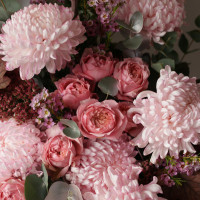 Композиция в коробке с пудровыми хризантемами и пионовидными розами Джульетта